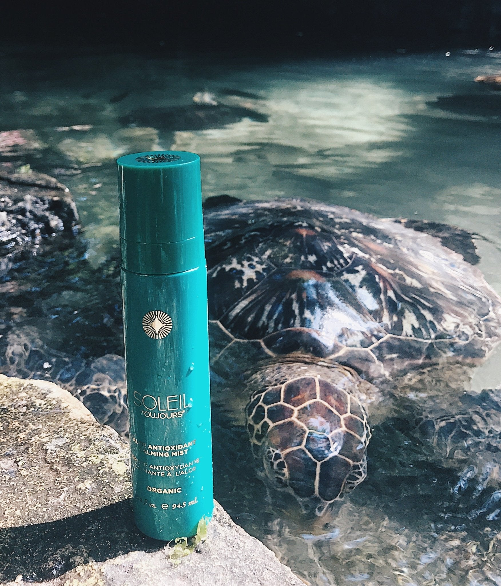 Help save our coral reefs:  ban all products containing oxybenzone. | Soleil Toujours